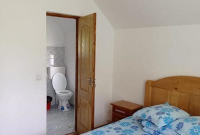 Pensiune in Ciocanesti judetul Suceava - 7