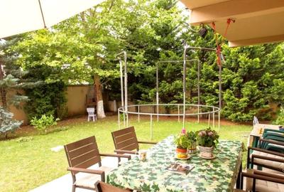 Vila Iancu Nicolae - 1