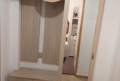 Dristor, garsoniera, 6 minute metrou, mobilat, utilat, renovata recent - 17