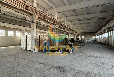 Hală industrială cu poduri rulante și putere 1,8 MW – 2400 mp | Popești-Leordeni - 19