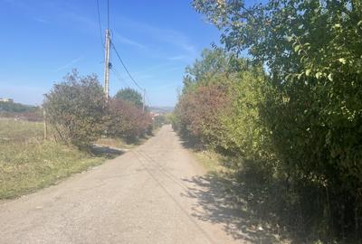 Teren Construcții intravilan de 15046 mp, în Bună Ziua