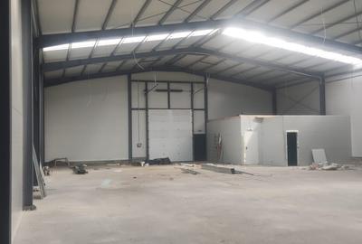 2 hale noi 2025 Afumati- Moara Domneasca - 4