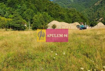 Teren Județul Vâlcea - Brezoi, Valea lui Stan - 5