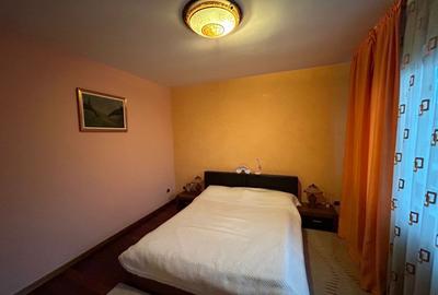 Casa individuala, 6 camere, 300 mp, 1100 mp teren, Prof Ioan Rus - 10