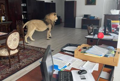 Afacere! Spațiu închiriat-  1500 eur/lună minim 10 ani - 3