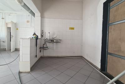 CASA CU CURTE PROPRIE- PRETABIL CATERING - RACADAU - 3