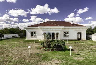 Stil si eleganta ! Vilă superba 320 mp cu teren 1728 mp in Mandruloc - 46