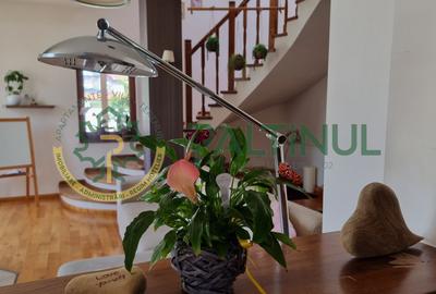 Casă cu teren 953 mp si jacuzzi – Șelimbăr, Sibiu zona Brana (2 fronturi) - 25
