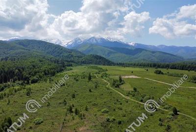 Teren extravilan 8400 mp de vanzare pe Valea Avrigului - 1