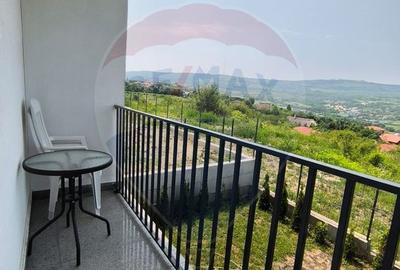 Casă 4 camere de inchiriat in Borhanci - 39