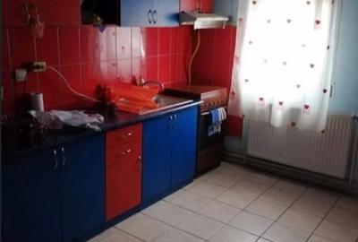 Apartament 2 camere - Lugoj, malul Timisului - 1