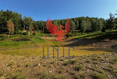 18000 mp de natura pura ,Lupeni, langa Straja - 15