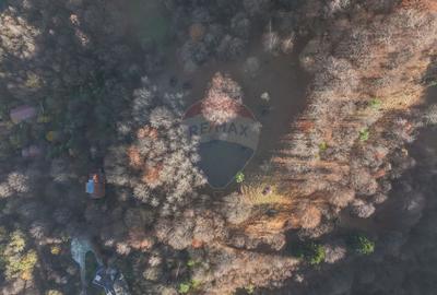 Teren Colinar Panoramic – 17.684 mp în Scheii Brașovului - 4
