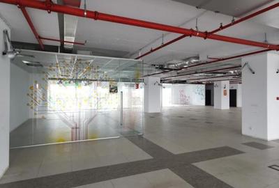 1 Mai Expozitiei Imobil Office - 1