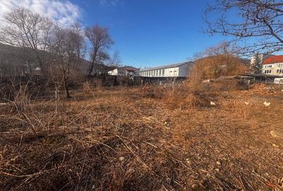 Teren + Cladire in Viisoara - 1