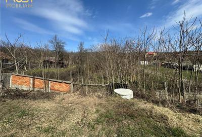 Teren Parcelabil I 11400 MP I Corpadea - 15