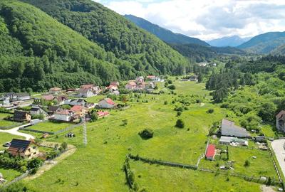 Teren Intravilan Rezidential - 12