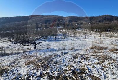 Teren 5,054mp intravilan - Strada Dealul Malului / Ramnicu Valcea - 1