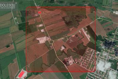 Teren Construcții intravilan de 3644 mp, în Nord-Vest