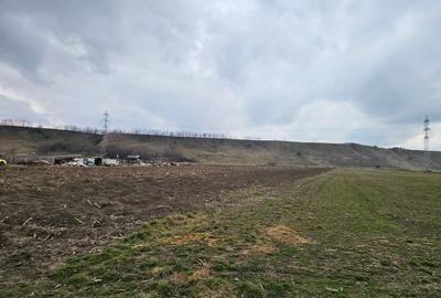 Oportunitate investitie – Teren intravilan in Bacau - 7