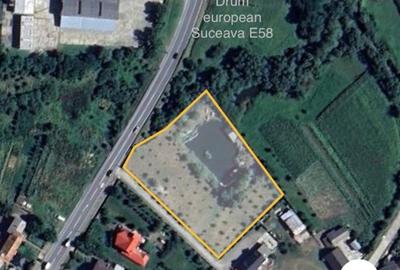Vând teren cu iaz și livadă de nuci – Ilișești, aproape de Suceava - 4