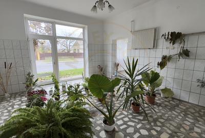 Casa 7 camere cu Teren 4.620 mp | Potential pentru rezidenta sau afacere | Carei - 17