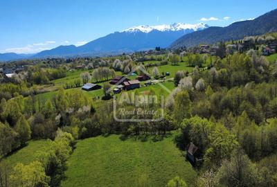 Teren Bran – Tohănița | Vedere Munții Bucegi - 7