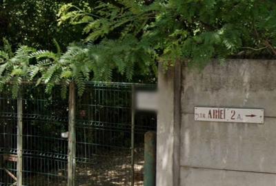Teren Intravilan langa Parcul Mogosoaia pretabil pentru dezvoltare imobiliara - 2