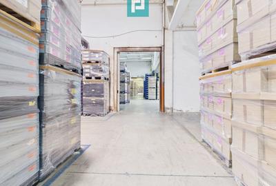 Centru Logistic – Platformă Industrială Oradea - 12