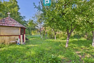 Casă cu 4 camere, curte și atelier mecanic - Sebeș - 17