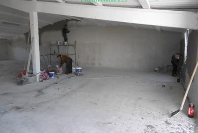 Hale pentru inchiriere aproape de Centura Arad si Autostrada A1 - 18