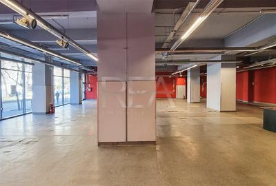 Inchiriere Spatiu Comercial - Sos. Nicolae Titulescu 639 mp - 6