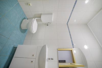 Spatiu birouri*Apartament cu 3 camere*Uranus*George Cosbuc*Unirii*113mp* - 12
