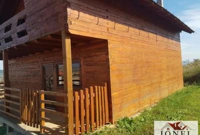 Casa la rosu structura lemn de vanzare in Alba Iulia - 2