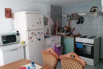 Singureni Stejaru casa intre paduri, cu teren 1600mp - 11