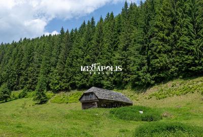 Teren intravilan | Moieciu de Sus | 12307 | PUZ - 6