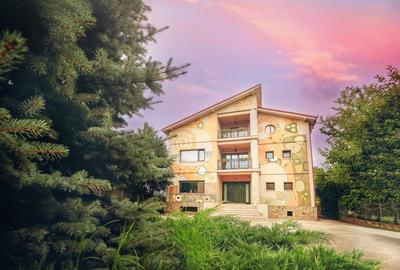 Unique villa concept in Buftea - perfect opportunity! - 53