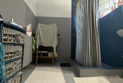 Ultracentral - Piata Civica, casa individuala cu teren 387 mp, centrala gaz - 20