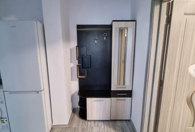 Titan Piata Minis, 2 camere, decomandat, etaj 3, mobilat, metrou - 8