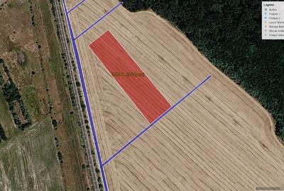 Teren Intravilan zona industrială la Noua Centura  BUFTEA ILFOV - 2