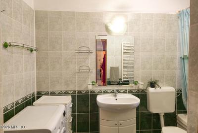 Lunei - Ion Neculce, 2 Apartamente. Mansarda 157 mp. Anexe, Lot 475 mp - 12