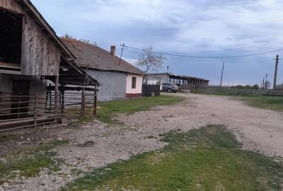 OPORTUNITATE! FERMA FUNCTIONALA, CASA RENOVATA SI TEREN 5HA - 9