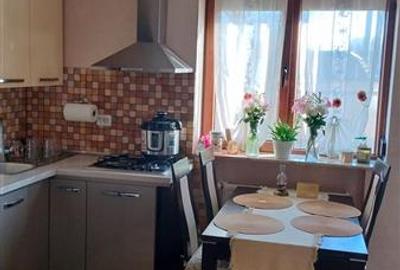 Casa de inchiriat in Centru - Str. Padurii - 6