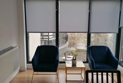 Birouri Titulescu 48- Piata Victoriei - 12