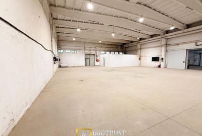 Hala industriala de închiriat Arad  850 mp  acces TIR - 3