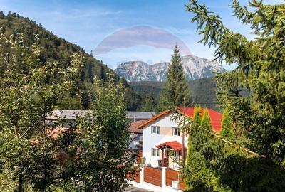 Casă de vacanta in Azuga - 1