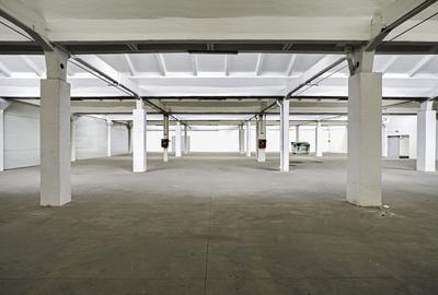 Hala Industriala de inchiriat 1.174 mp cu rampa egalizatoare, Arad - 2