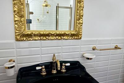 SUPER OCAZIE SE VIND 3 APRTAMENTE DE LUX IN VILA ZONA PARC CAROL COSBUC - 8