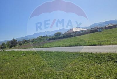 Teren intravilan de vânzare în Crăciunești – 1.780 mp - 4