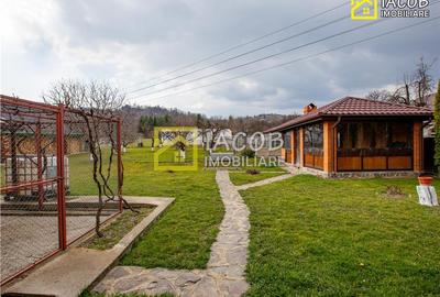 Casa, anexe, 3762 mp teren, 25000 mp padure, Comanesti, jud. Bacau - 9